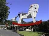 Rocking Horse Perth Photos