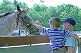 Images of Rocking Horse Ranch Reviews