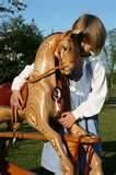 Pictures of Rocking Horse Blueprints