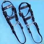 Rocking Horse Bridle