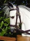 Photos of Rocking Horse Bridle