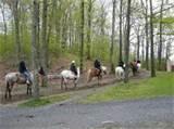 Rocking Horse Resort Images