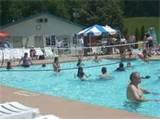 Rocking Horse Resort Pictures