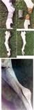 Rocking Horse Repairs Photos