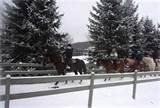 Rocking Horse Resort