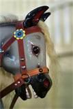 Pictures of Rocking Horse Head Pictures of Rocking Horse Head