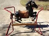 Black Beauty Rocking Horse Pictures