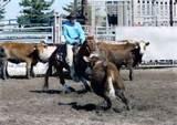 Rocking Horses Canada Rocking Horses Canada