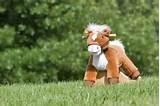 Photos of Toy Rocking Horse