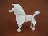 Images of Poodle Rocking Horse