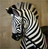 Zebra Rocking Horse Photos