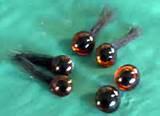 Pictures of Rocking Horse Eyes