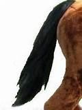 Pictures of Rocking Horse Mane And Tail